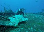 Hawaii Scuba divng 51