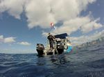 Hawaii Scuba divng 52