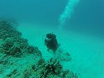 Hawaii Scuba divng 05