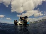 Hawaii Scuba divng 63