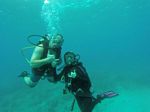 Hawaii Scuba divng 72