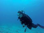 Hawaii Scuba divng 76