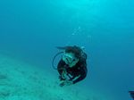 Hawaii Scuba divng 79