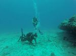 Hawaii Scuba divng 85