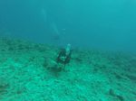 Hawaii Scuba divng 86