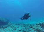 Hawaii Scuba divng 91