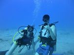 Hawaii Scuba divng 10