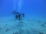 Hawaii Scuba divng 13