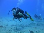 Hawaii Scuba divng 14