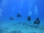 Hawaii Scuba divng 15