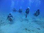 Hawaii Scuba divng 16