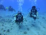 Hawaii Scuba divng 17