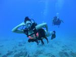 Hawaii Scuba divng 18