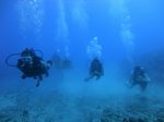 Hawaii Scuba divng 21