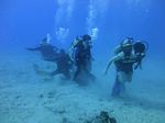 Hawaii Scuba divng 30