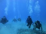 Hawaii Scuba divng 31