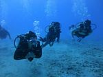 Hawaii Scuba divng 33