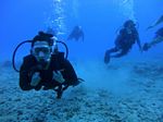 Hawaii Scuba divng 34