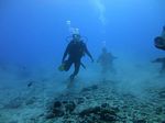 Hawaii Scuba divng 36