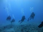 Hawaii Scuba divng 37