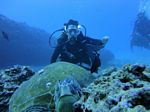 Hawaii Scuba divng 39