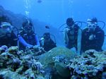 Hawaii Scuba divng 41