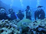 Hawaii Scuba divng 42