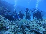 Hawaii Scuba divng 43