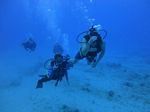 Hawaii Scuba divng 45