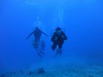 Hawaii Scuba divng 49