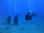 Hawaii Scuba divng 51