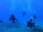 Hawaii Scuba divng 51