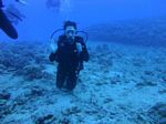 Hawaii Scuba divng 52