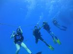 Hawaii Scuba divng 09