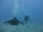 Hawaii Scuba divng 11