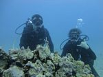 Hawaii Scuba divng 12