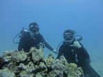 Hawaii Scuba divng 13