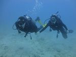 Hawaii Scuba divng 15