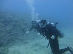 Hawaii Scuba divng 16