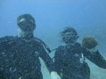 Hawaii Scuba divng 17