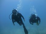 Hawaii Scuba divng 23