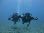 Hawaii Scuba divng 24