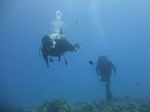 Hawaii Scuba divng 28