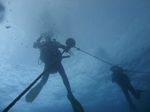 Hawaii Scuba divng 02
