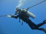 Hawaii Scuba divng 36