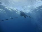 Hawaii Scuba divng 37