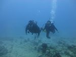 Hawaii Scuba divng 40