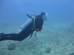 Hawaii Scuba divng 41