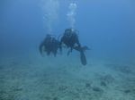 Hawaii Scuba divng 43