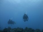 Hawaii Scuba divng 51